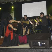 Flamenco: de la forja de sus raíces a su forma de vida contemporánea